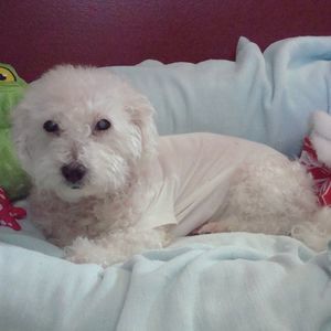 Meet your Posher, Debbie